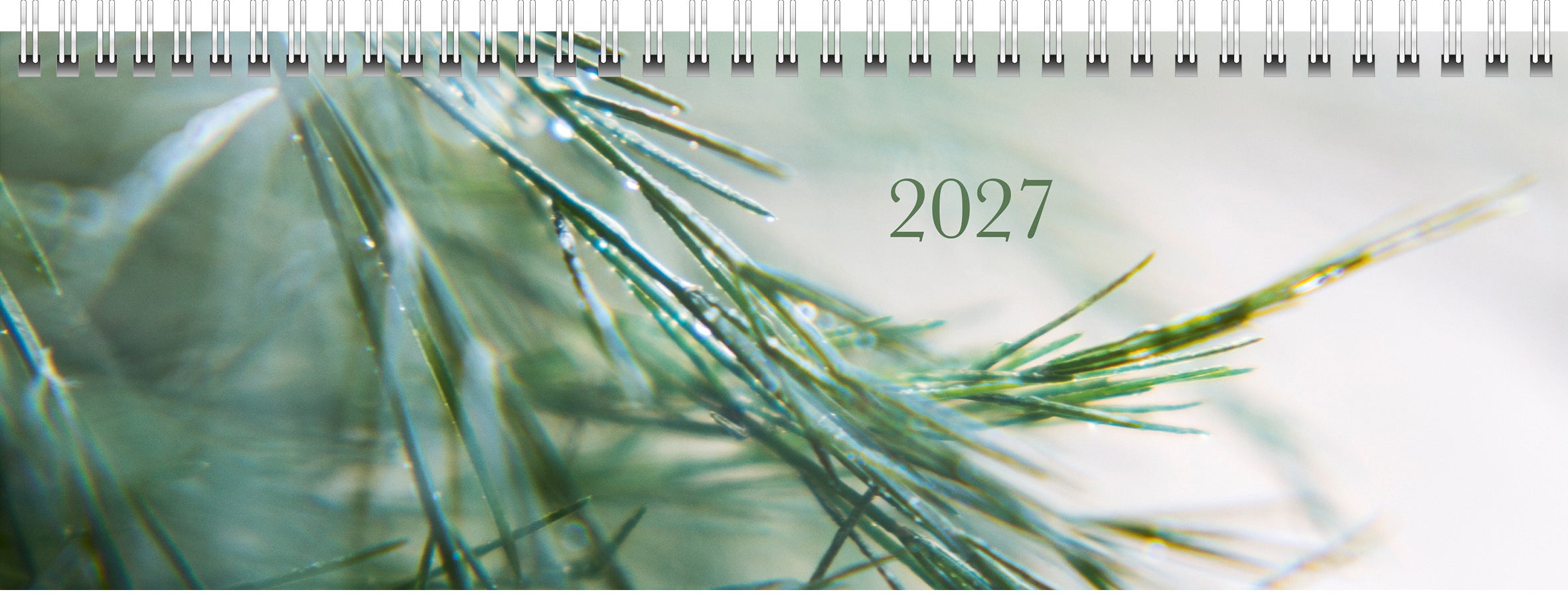 Ridoide Design Line – Tischkalender 2027, 1 Woche/2 Seiten, 11,0 × 30,5 cm