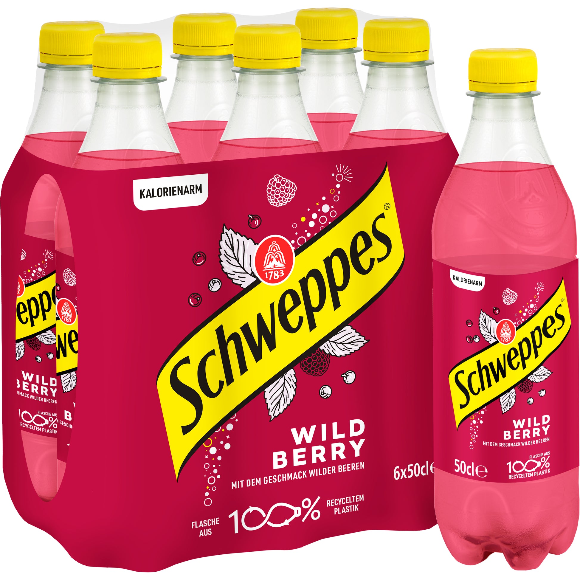Schweppes Limonade Wild Berry – 5 dl