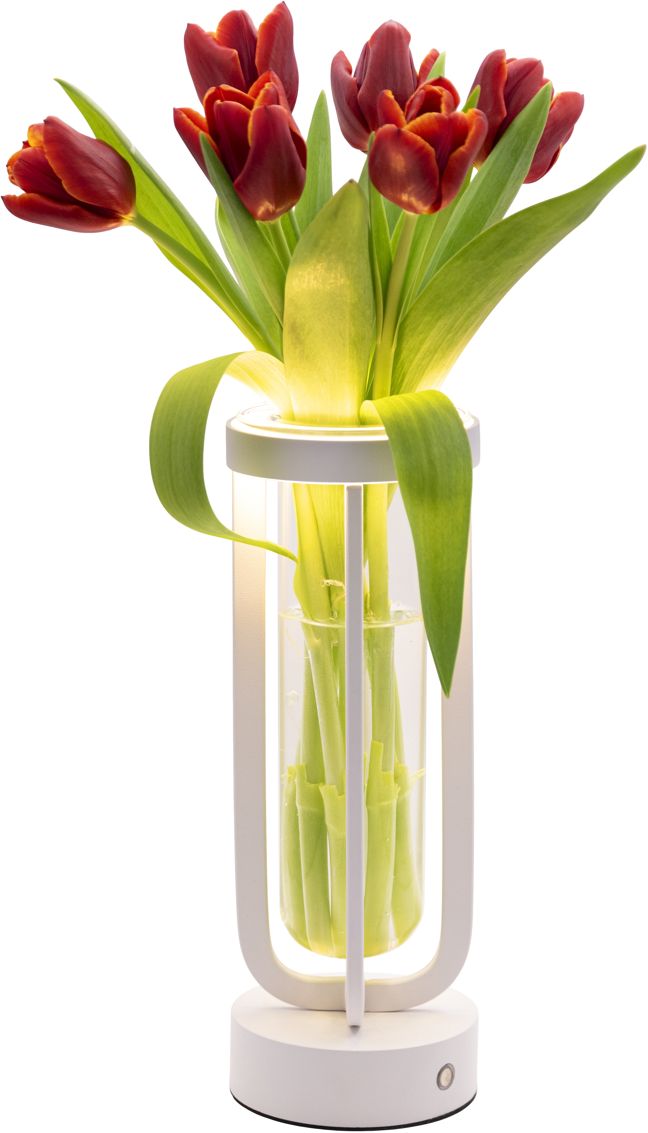 Securit Tischleuchte Florence – LED, Akku bis 15 h, stufenlos dimmbar, IP54, USB-C – Weiss