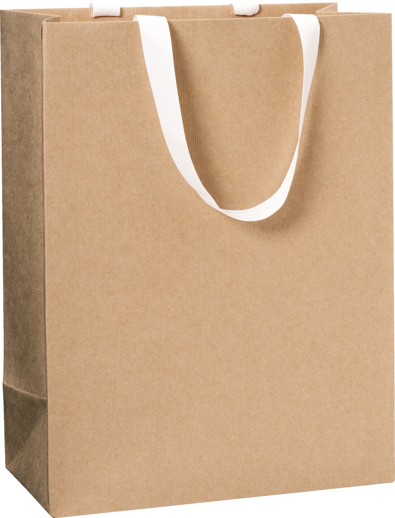 Stewo Geschenktasche One Colour Hellbraun – 235 × 305 × 130 mm – mit Euroloch-Aufhänger, FSC MIX 70%