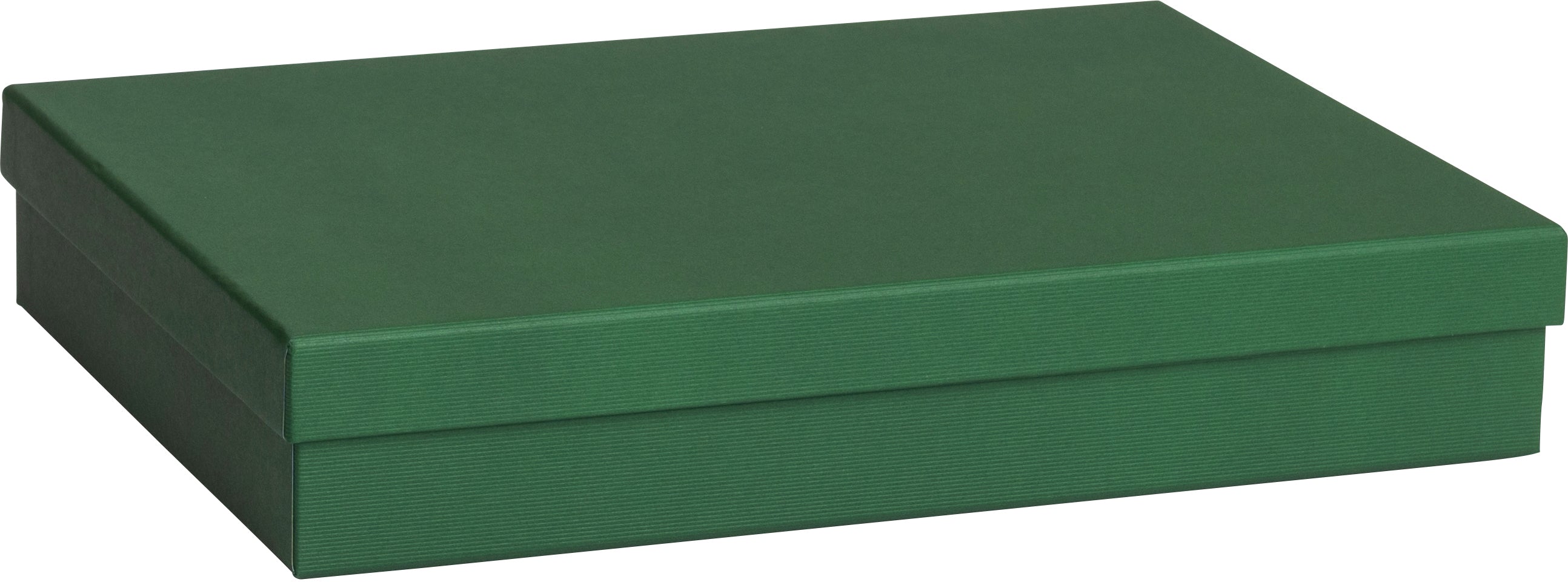 Stewo Geschenkbox One Colour Dunkelgrün – 241 × 64 × 329 mm