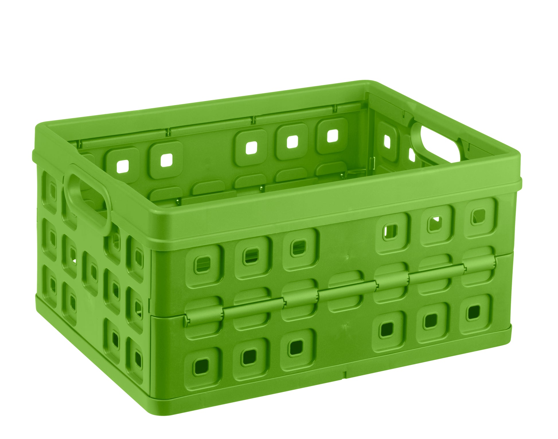 Sunware 57000661 Klappbox 32 l – faltbar – grün – 360 × 55 × 490 mm