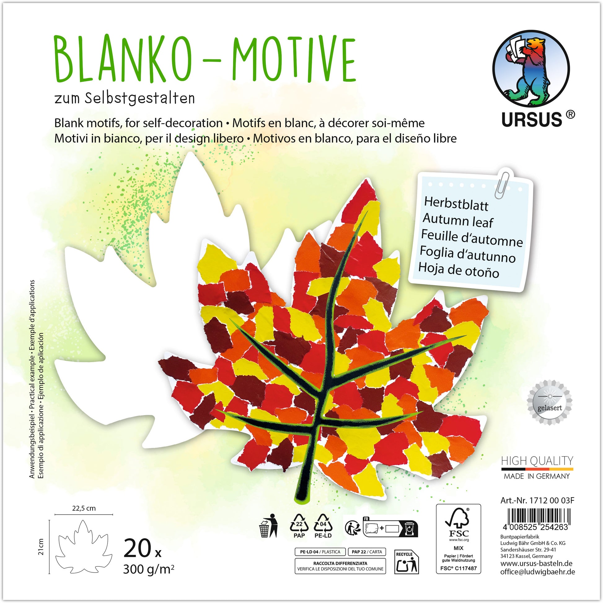Ursus Fotokarton Blanko Motive – 23 × 23 cm, Herbstblatt