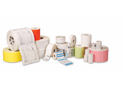 Zebra Z-Endure 8000T – Etiketten (Rolle) 76 × 76 mm – Weiss – Thermotransfer – 100 Etiketten/Rolle