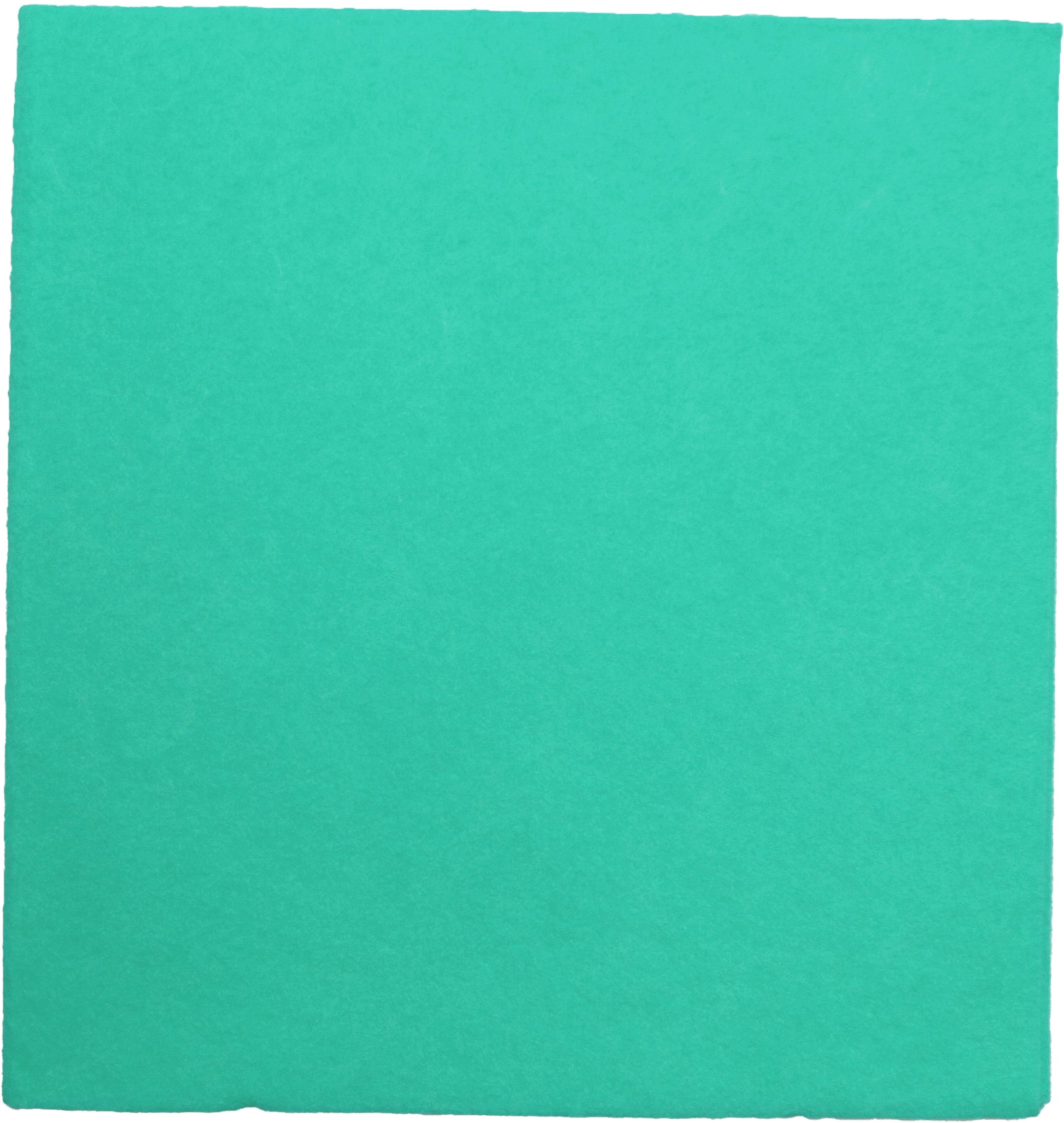 Weitaclean Olivia Allzwecktuch – grün – 38 × 40 cm – 30 Stk.