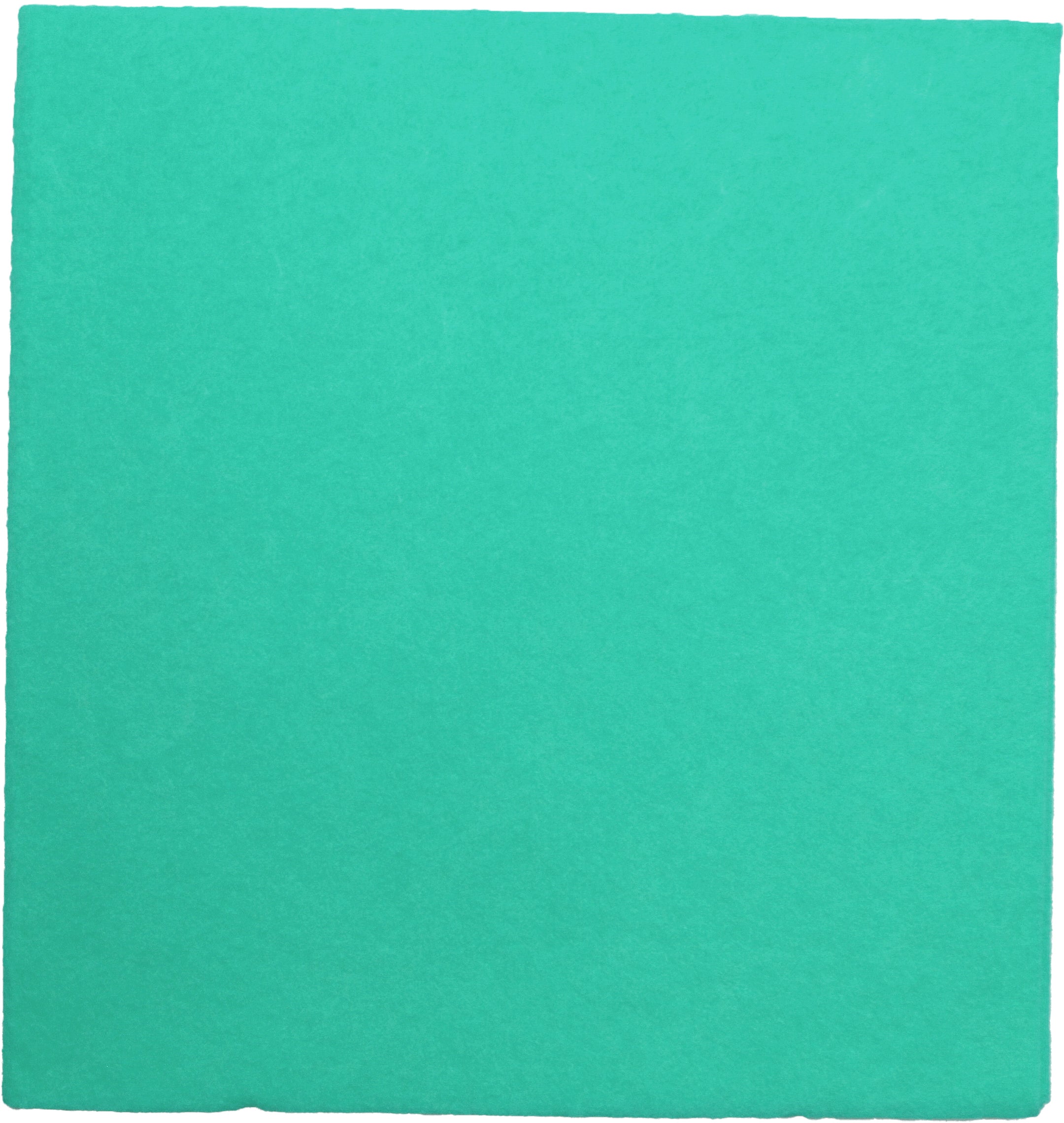 Weitaclean Olivia Allzwecktuch – grün – 38 × 40 cm – 30 Stk.