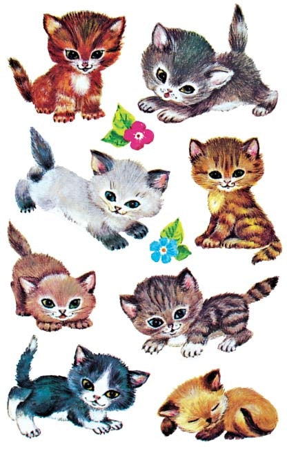 Z-design Sticker Kids, Katzen, 157 mm × 82 mm