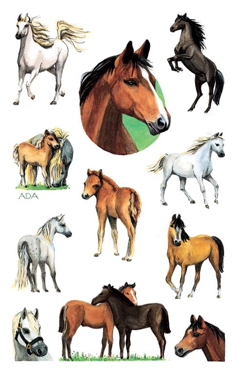 Z-Design – Sticker, Bauernhoftiere, Mehrfarbig, Glitzer, 85 mm × 160 mm