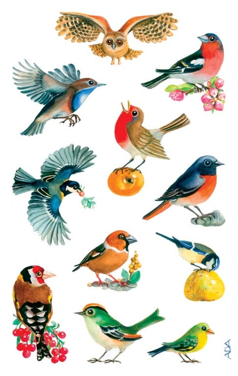 Z-design Sticker, Vögel, 82 × 157 mm