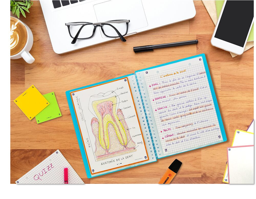 Oxford Sichtbuch, für A5, 40 Hüllen – Polypropylen (PP) – mehrfarbig, Pack à 15