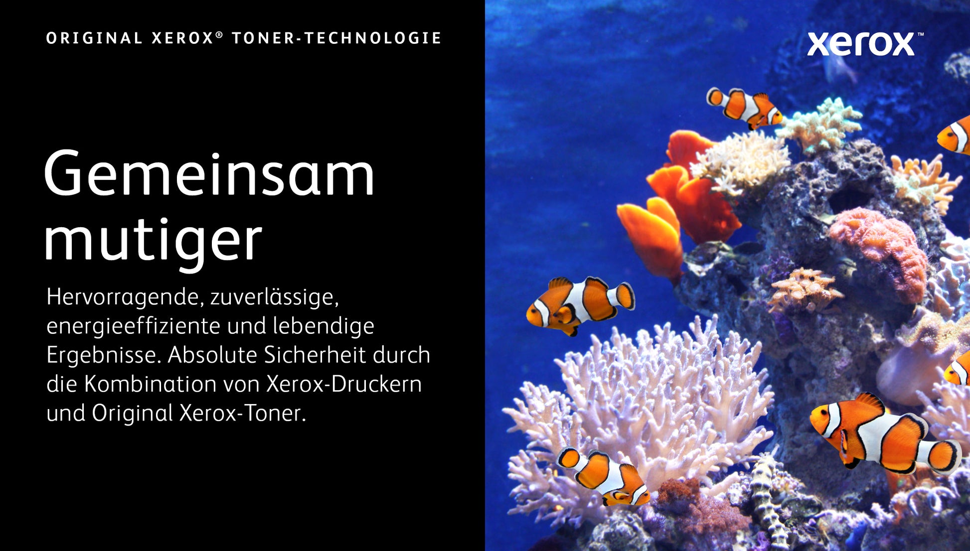 Xerox Toner – Gelb, 1500 Seiten