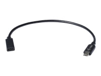 i-tec USB-Kabel, USB-C zu USB-C, 0,3 m, USB 3, Lade-/Datenkabel
