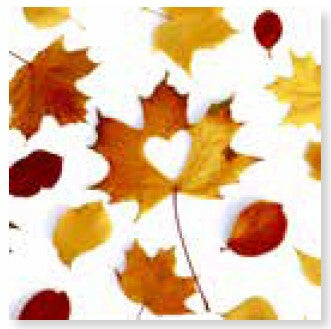 Paper + Design Servietten Herbst – 33 × 33 cm, 3-lagig – 20 Stück
