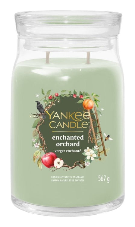 Yankee Candle Duftkerze – Enchanted Orchard – 567 g – 9,9×15 cm (D×H) – Grün