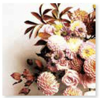 Paper + Design Servietten Herbst, mehrfarbig – 33 × 33 cm, 3-lagig – 20 Stück