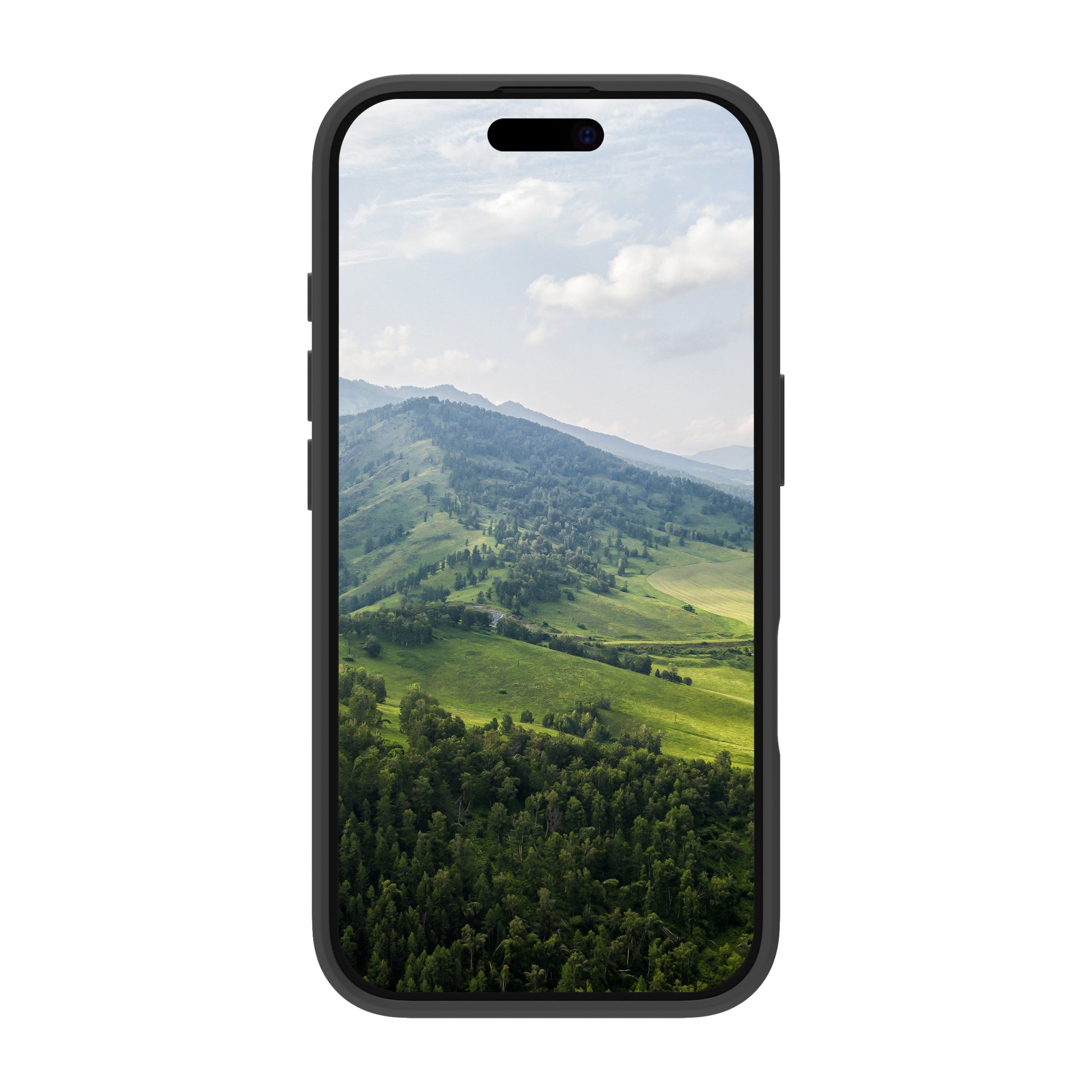 dbramante1928 Greenland Backcover – für Apple iPhone 16 Pro, Kunststoff, Night Black