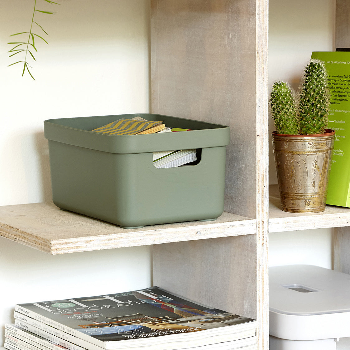 Sigma home Aufbewahrungsbox 5 l ohne Deckel – Kunststoff – Grün – 252 × 122 × 180 mm