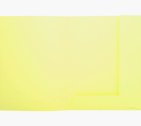 Exacompta Einlagemappe A4 – Karton, Gelb, 2 Klappen