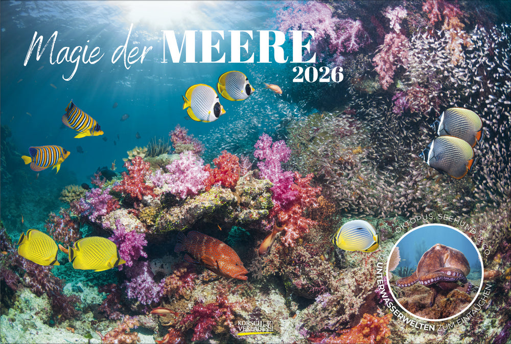 Korsch Verlag Magie der Meere – Bildkalender 2026 – 58 × 39 cm