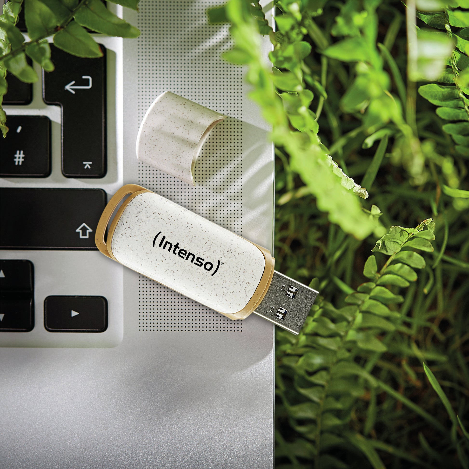 Intenso Green Line 64 GB – USB-Stick, USB 3.2 Gen 1 (5 Gbit/s), USB-A, 70 MB/s, Beige