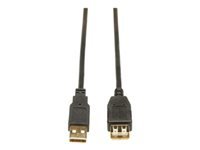 Tripp Lite USB-A Verlängerungskabel (Stecker auf Buchse) – USB 2.0 (480 Mbit/s) – 0,9 m – Goldstecker – Schwarz