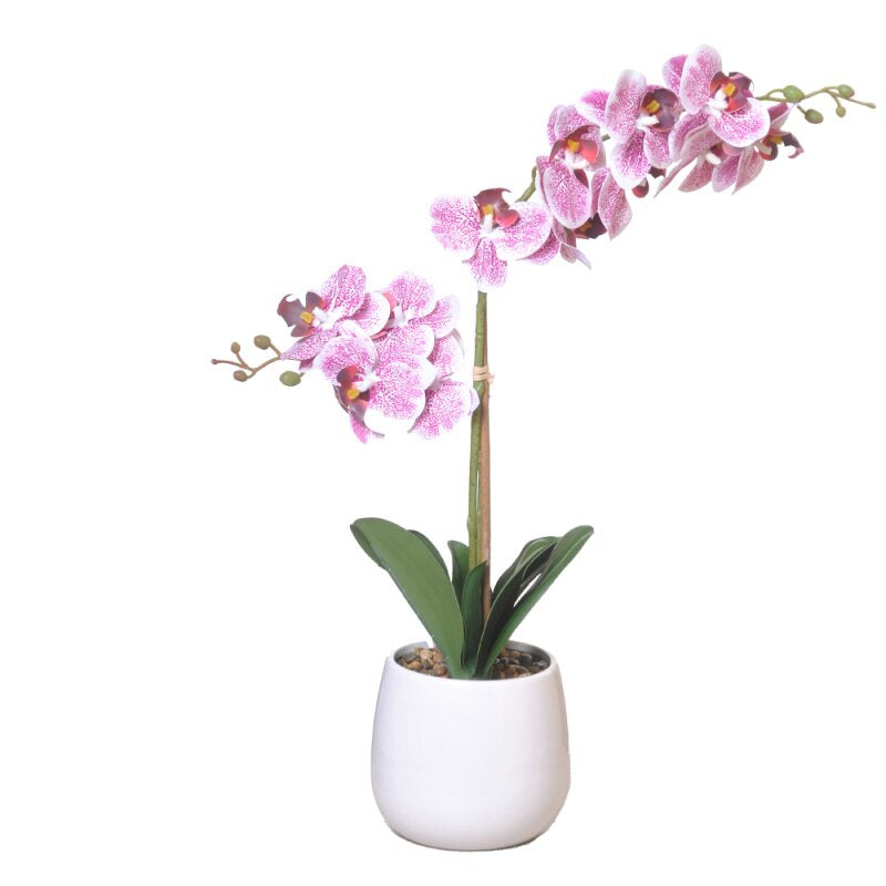 CHALET Künstliche Blütenpflanze Orchidee – 56 cm – Kunststoff, mehrfarbig