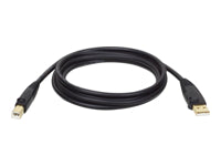 Tripp Lite USB-Kabel – USB-A auf USB-B – USB 2.0 (480 Mbit/s) – 3,05 m – Goldstecker – Schwarz