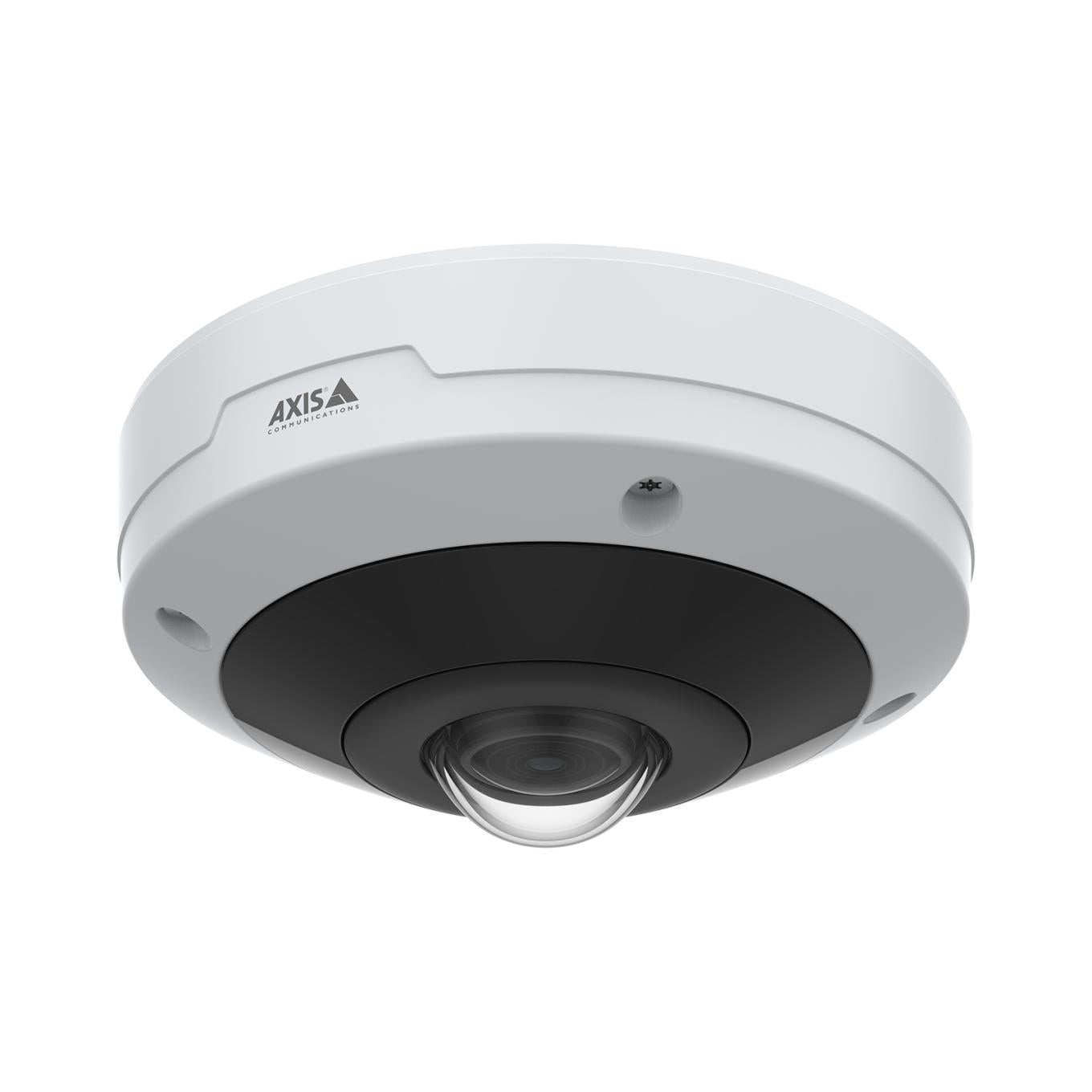 Axis M4317-PLVE Überwachungskamera