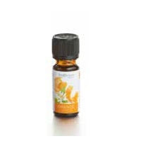 Balthasar Orange – Duftöl, 10 ml