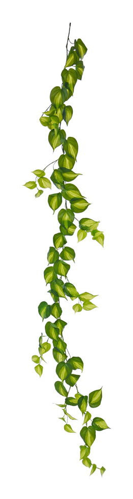 Botanic-Haus Künstliche Topfpflanze – Ø 15 × 180 cm – Kunststoff, Grün