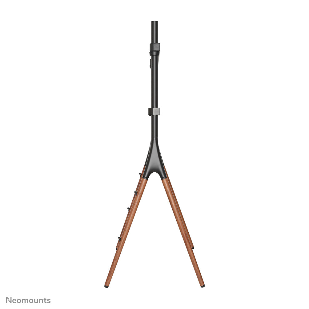 Neomounts Höhenverstellbarer Displayständer für 37–70", VESA 200×200–600×400, bis 40 kg, schwarz