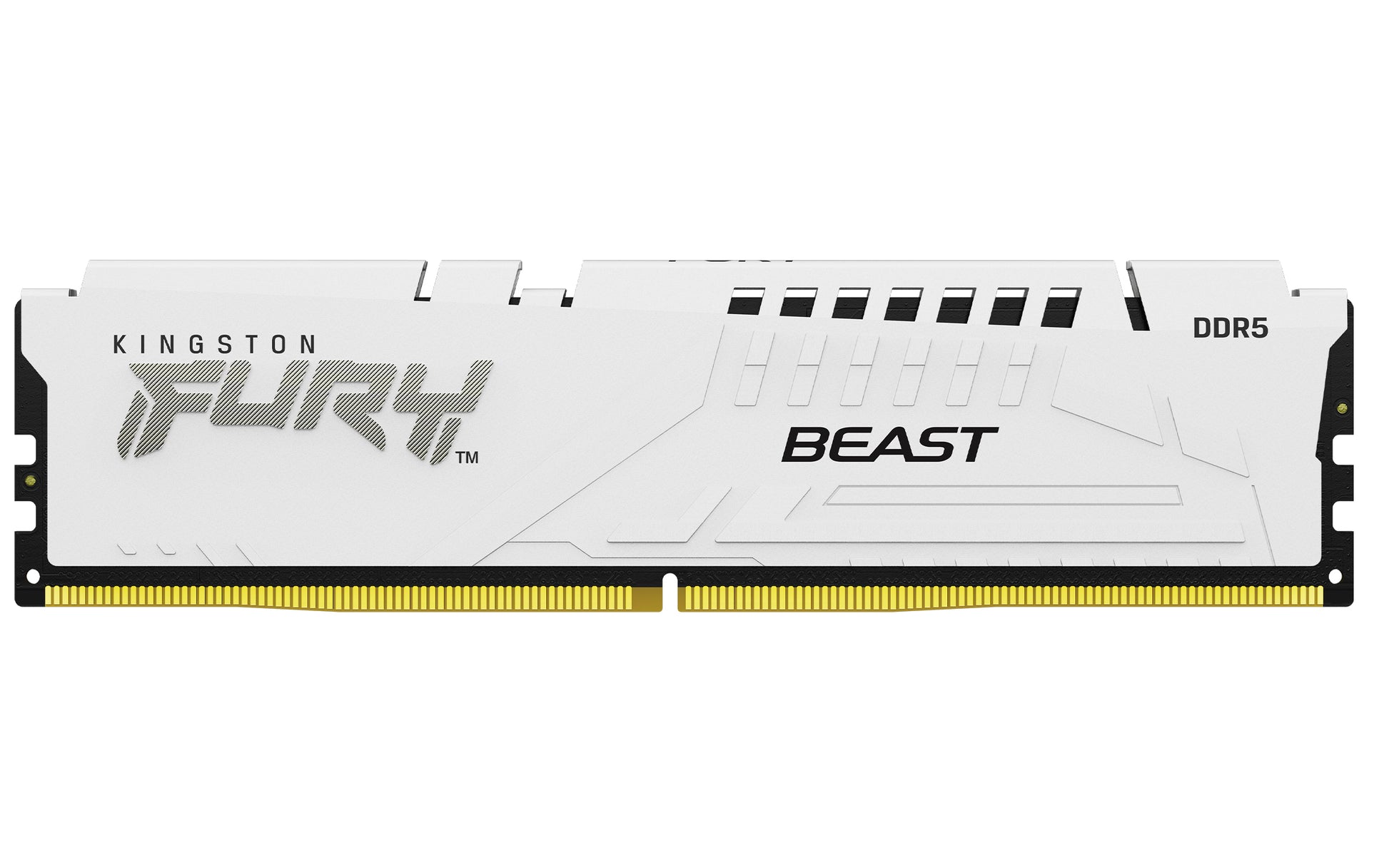 Kingston Technology Kingston Fury Beast DDR5-6000 – 64 GB (2×32 GB), 288-poliger DIMM, EXPO