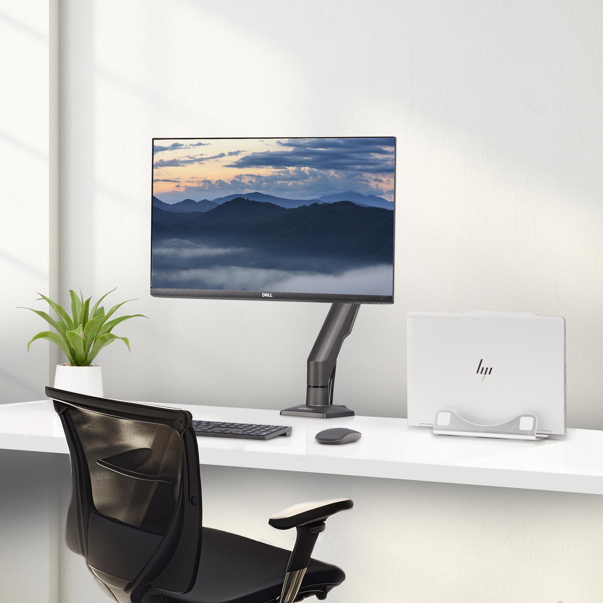 StarTech.com Monitorarm Tischhalterung – 1 Monitor – bis 32" – VESA 75×75/100×100 mm – bis 10 kg/Monitor