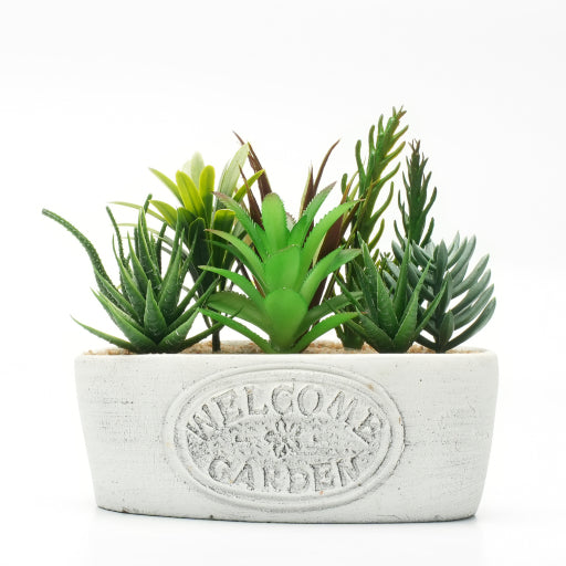 Dameco Künstliche Topfpflanze – 16 × 20 × 11 cm – Beton, Weiss