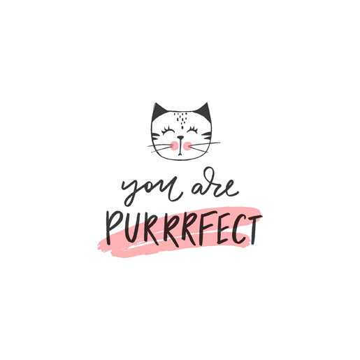 Paper + Design Purrrfect Taschentücher – 4-lagig, mehrfarbig, 215 × 220 mm – 10 Taschentücher