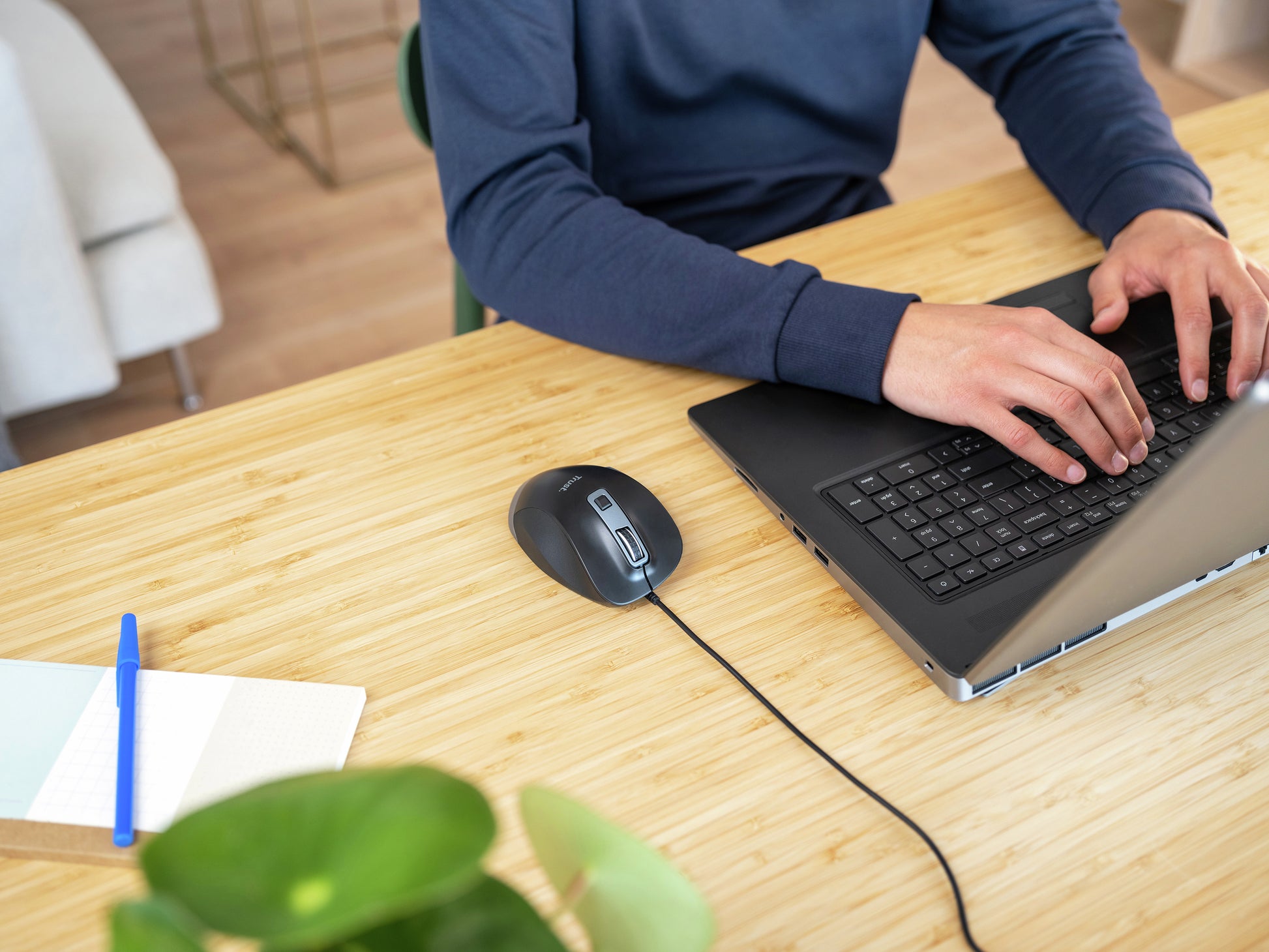 Trust Fyda Eco – Maus – Kabelgebunden (USB‑A), rechts, Schwarz