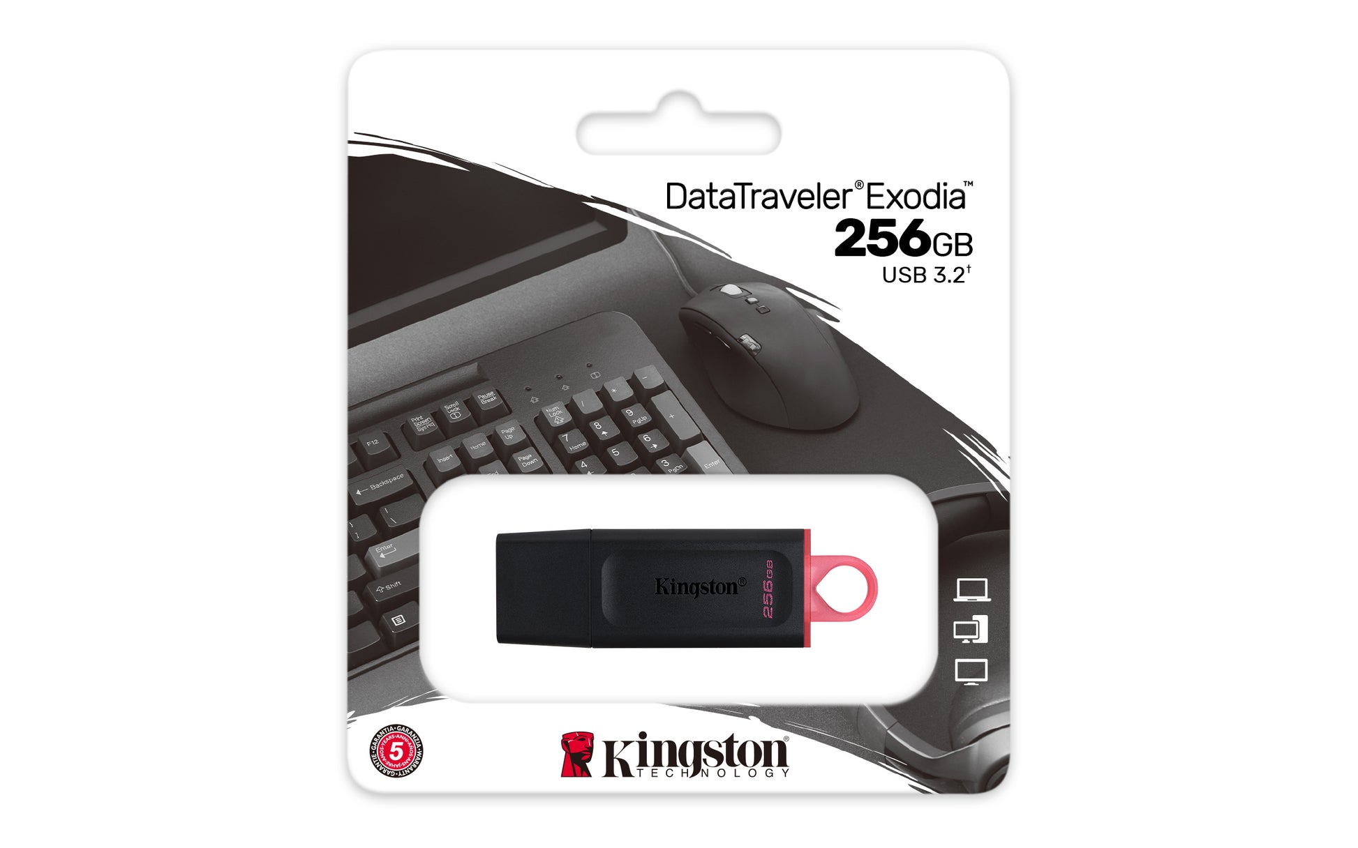 Kingston Technology Kingston DT Exodia USB-Stick – 256 GB, USB 3.2 Gen 1, Schwarz, Pink