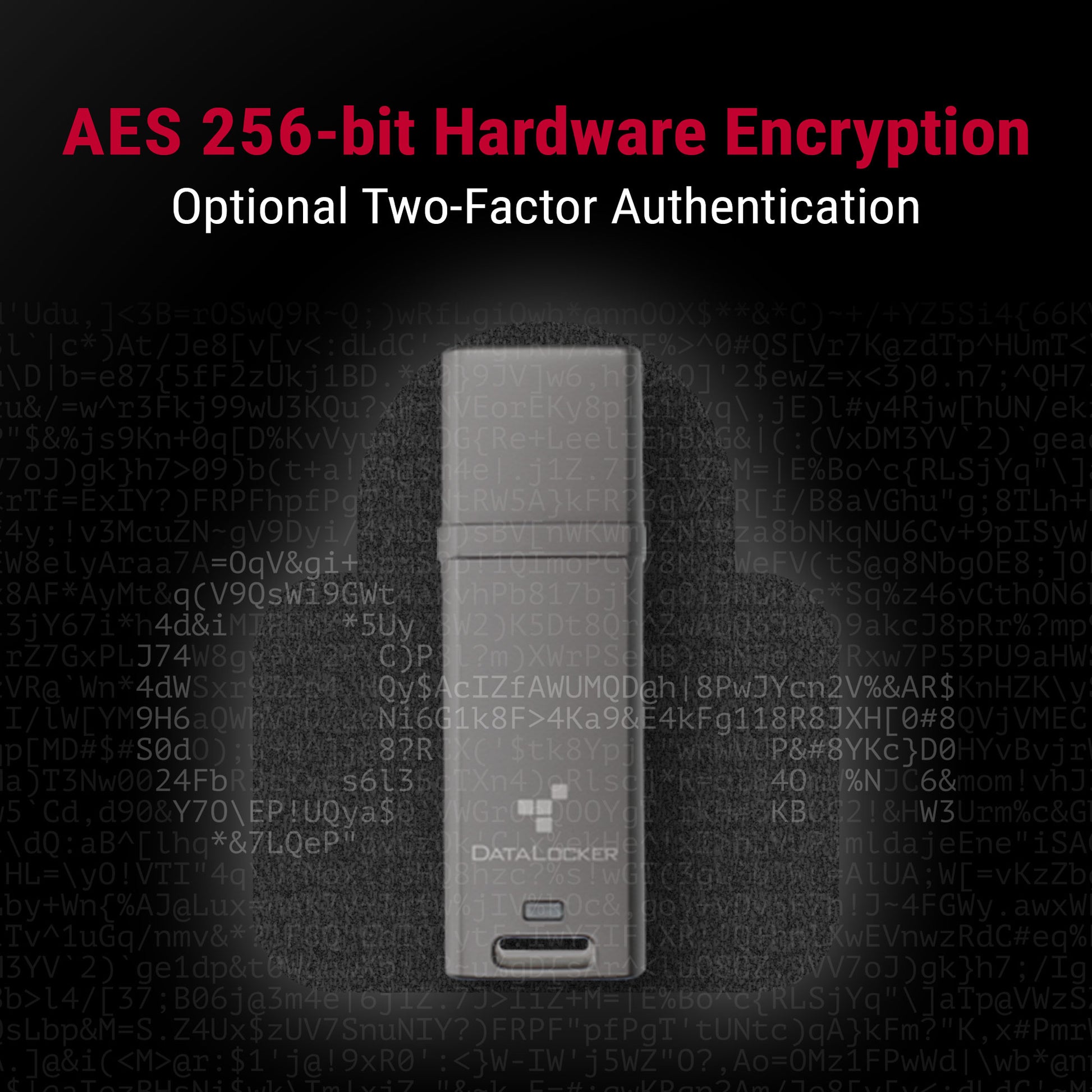 DataLocker DL GO USB-Stick 16 GB – USB-A 3.2 Gen 2, 160/120 MB/s, AES-256, FIPS 197, IP68, mit Kappe, Grau