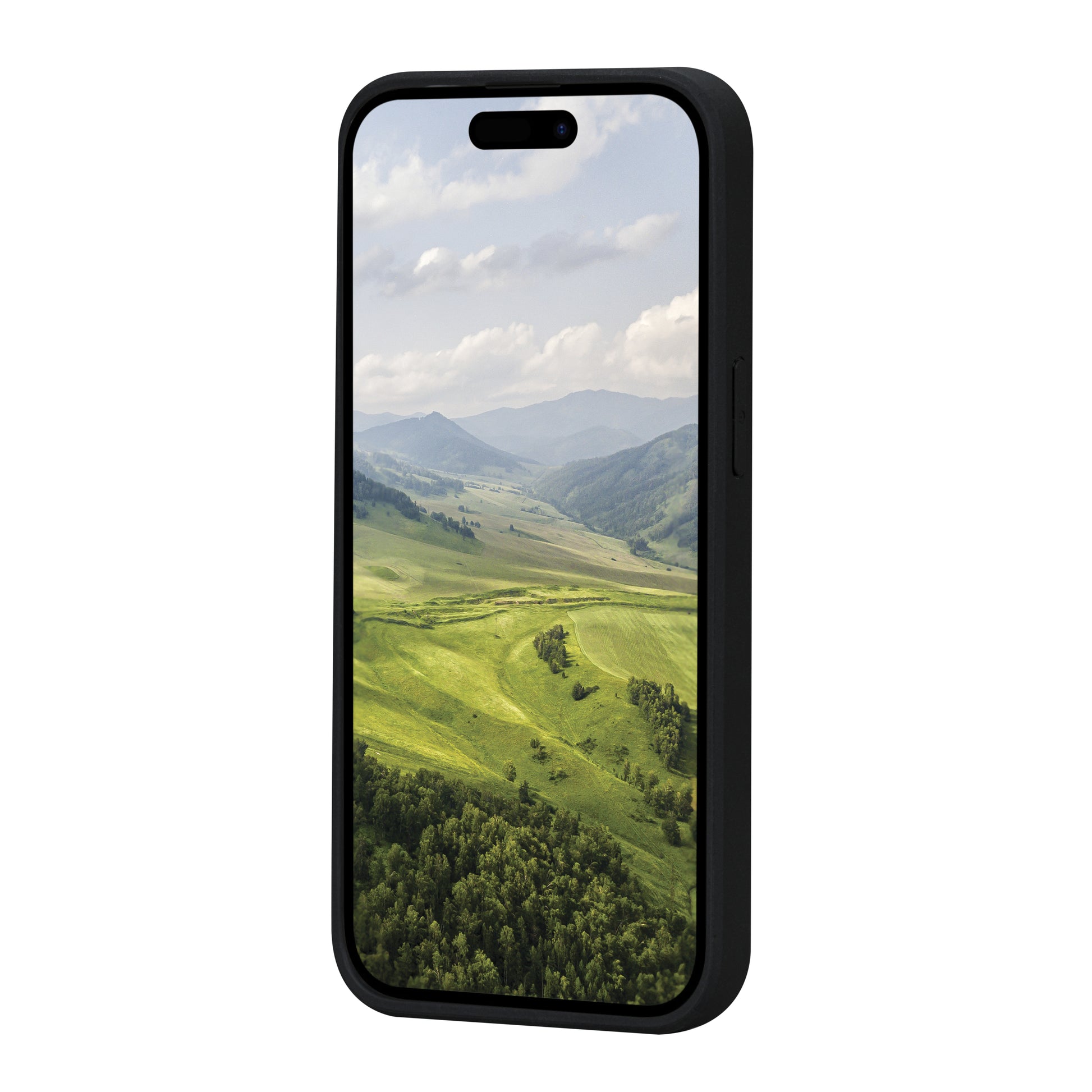 dbramante1928 Greenland Backcover – für Apple iPhone 15 Pro, Kunststoff, Schwarz
