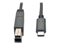 Tripp Lite USB-C auf USB-B Kabel – USB 3.2 Gen 2 (10 Gbit/s) – 0,9 m – PVC-Mantel – Schwarz