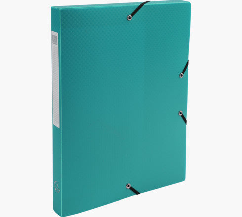 Exacompta Archivschachtel – für A4, B 250 × H 330 mm, grün, PP, 1 Stück