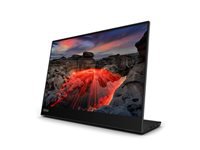 Lenovo ThinkVision – Portabler Monitor, 14,0", 1920 × 1080 (Full HD), IPS, Touch, USB-C