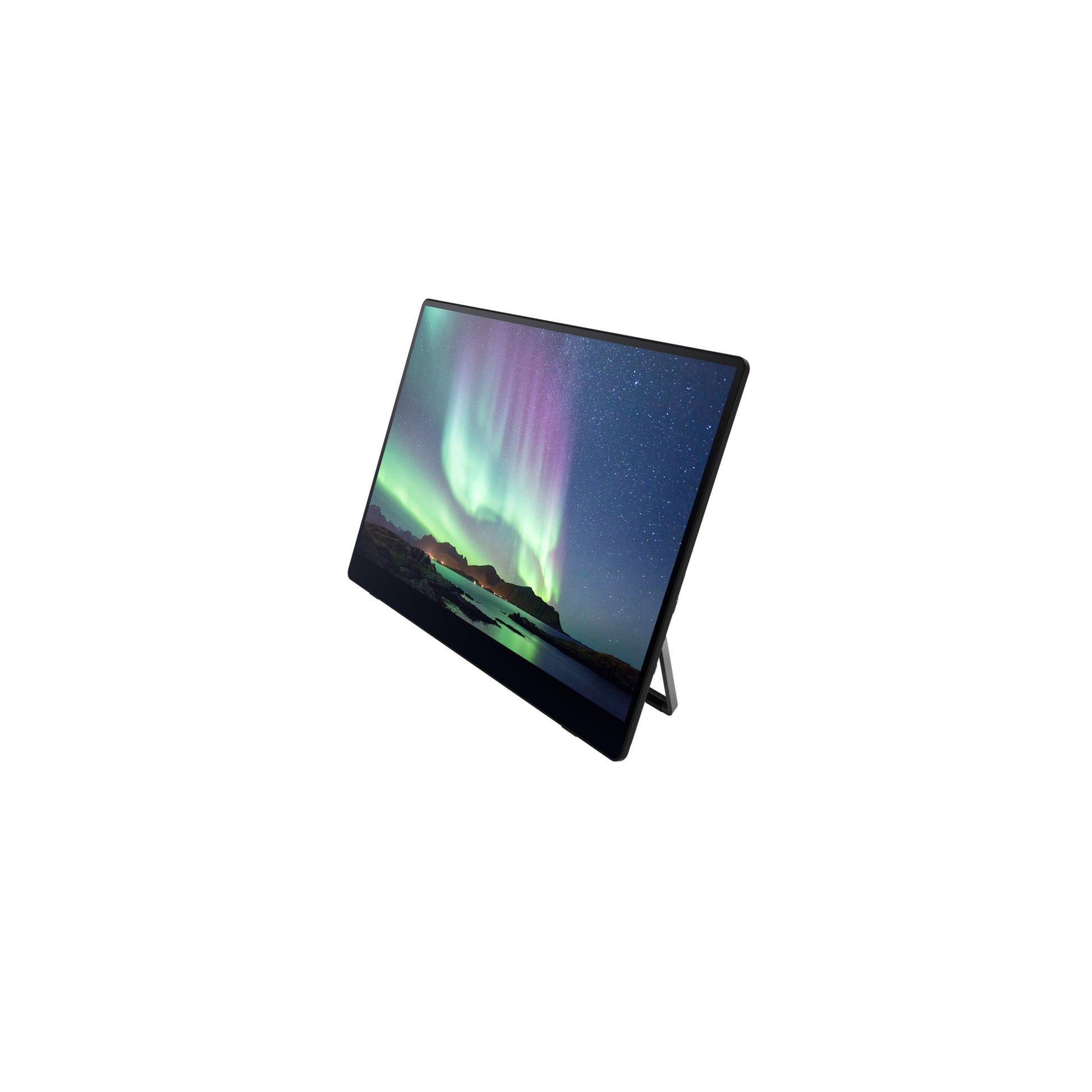 Ricoh 150BW – Tragbarer Monitor, 1080p Display
