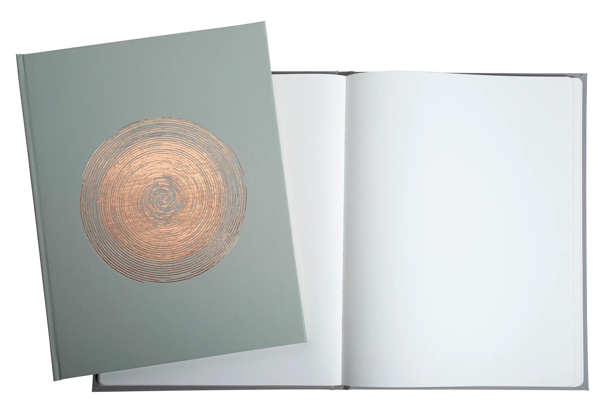 Exacompta Gästebuch Ellipse – 100 Seiten – 220 × 270 mm – Hardcover, gold, grün