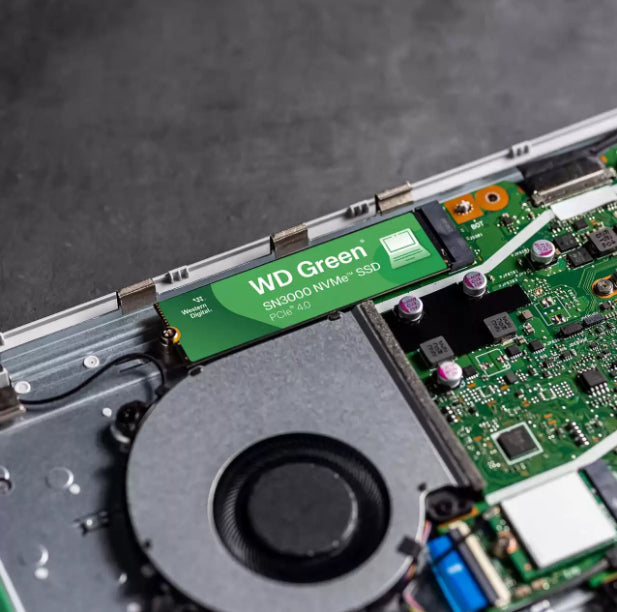 Western Digital Green SN3000 1 TB – für M.2 2280, NVMe, PCIe 4.0