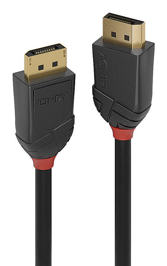Lindy DisplayPort Kabel DP 2.1 8K 60 Hz – 0,5 m