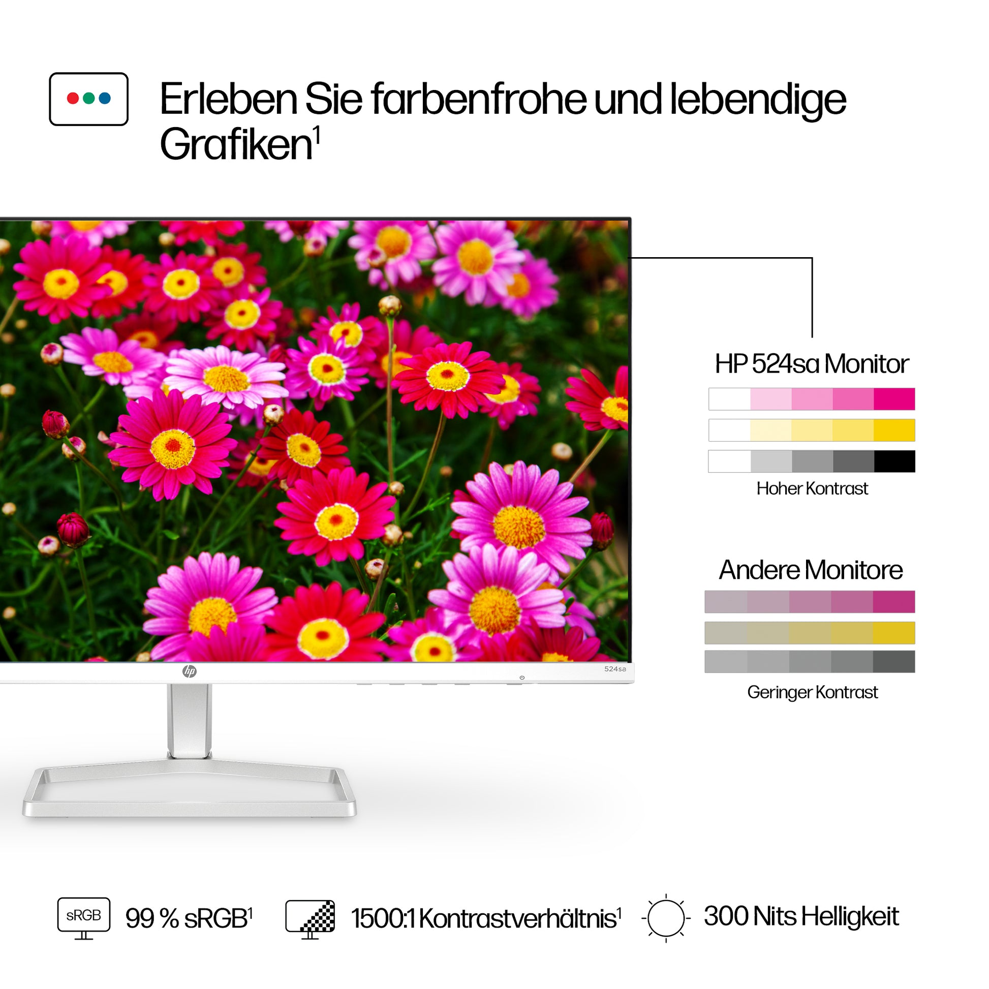 HP S5 524SA – Monitor, 1920 × 1080 (Full HD), Eingebaute Lautsprecher