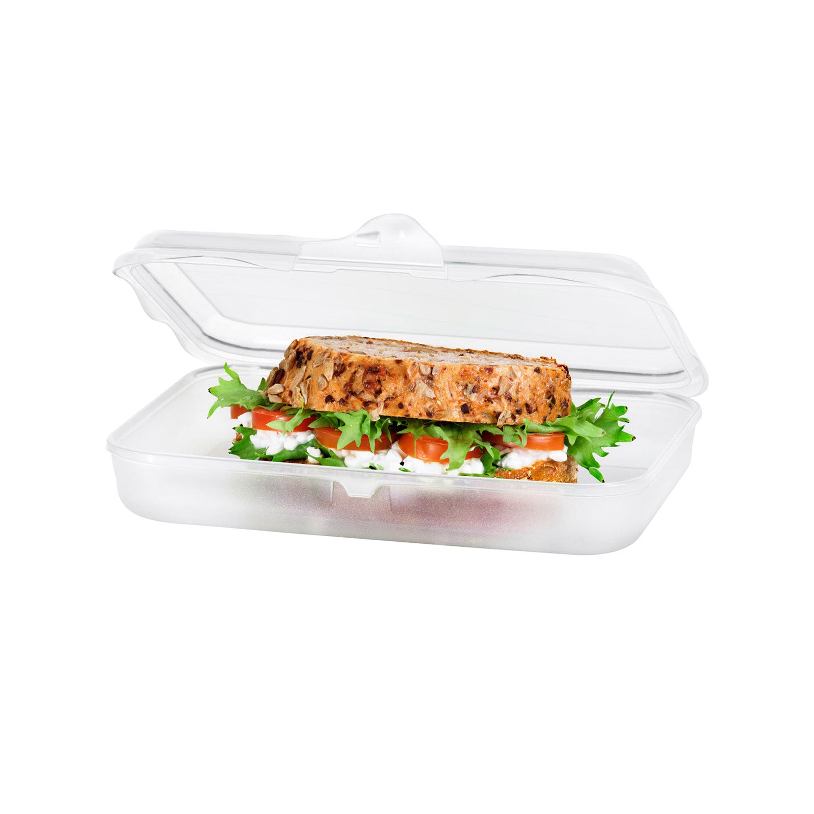 Rotho Lunchbox 750 ml, 19,5 × 14,5 × 4 cm, Polypropylen (PP), transparent