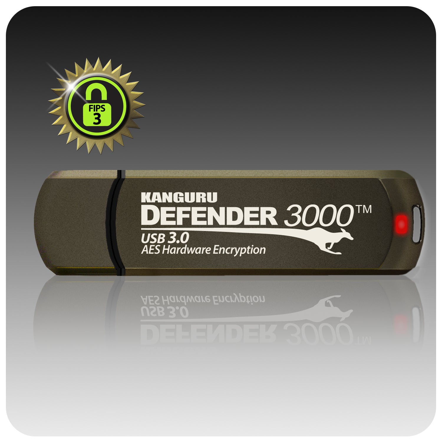 iStorage Kanguru Defender 3000 – 512 GB, USB 3.2 Gen 1 (Typ-A), AES-XTS 256-Bit, FIPS 140-2 L3