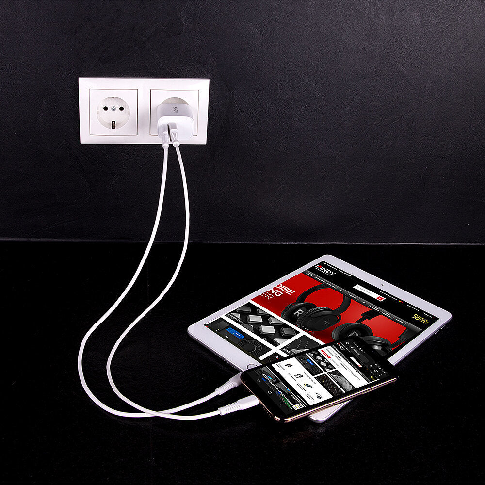 Lindy Ladegerät – 20 W, 1× USB-C + 1× USB-A